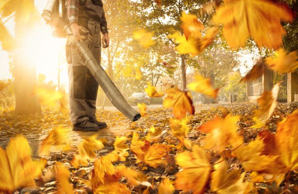 Leaf Blowing Service in North Las Vegas