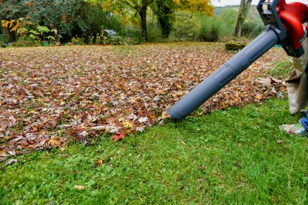 Leaf Vacuuming Service in North Las Vegas