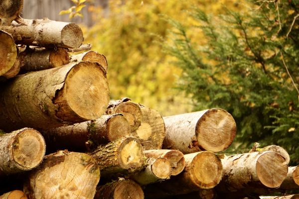 Wood Pile Removal in North Las Vegas