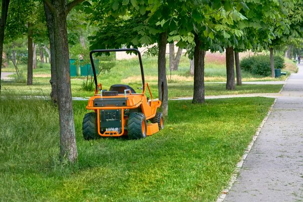 Landscaping Cleanup Service in North Las Vegas