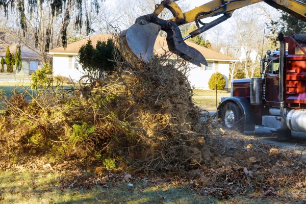 Storm Debris Removal in North Las Vegas