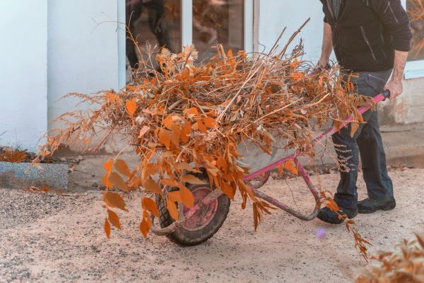 Lawn Debris Cleanup in North Las Vegas