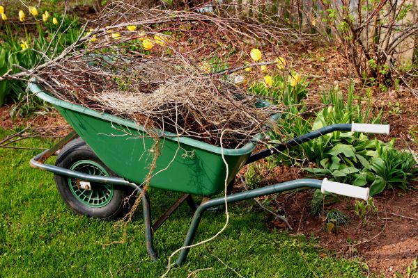 Lawn Waste Removal in North Las Vegas