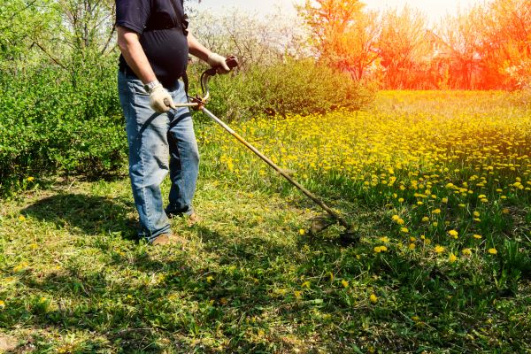 Yard Clearing Service in North Las Vegas