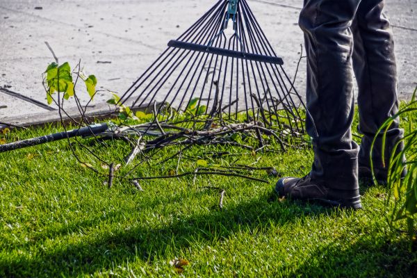 Yard Debris Cleanup in North Las Vegas