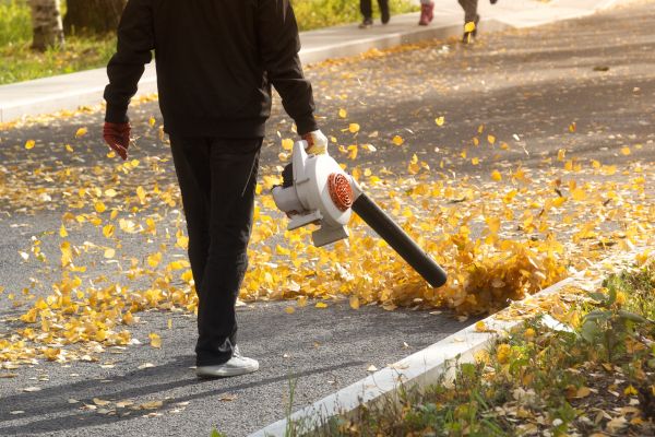 Cost of Commercial Leaf Removal in North Las Vegas