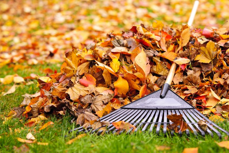 Fall Leaf Cleanup